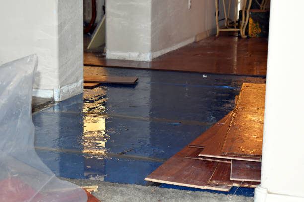 Professional Sewage Cleanup technician working in Deep Run, NC